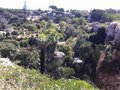 IMG_6907