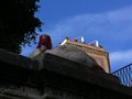 IMG_7004