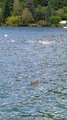 20140823_160710