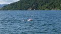 20140823_161513