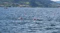 20140823_160648
