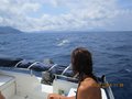 Elba luglio 2014 039