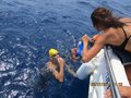 Elba luglio 2014 043