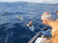 Elba luglio 2014 015