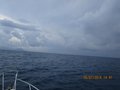 Elba luglio 2014 053