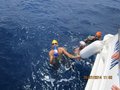 Elba luglio 2014 041