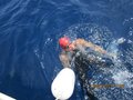 Elba luglio 2014 047