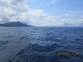 Elba luglio 2014 035