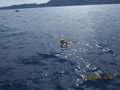 Elba luglio 2014 027