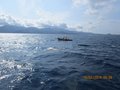 Elba luglio2014 017