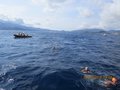 Elba luglio 2014 016