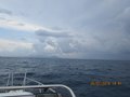 Elba luglio 2014 052