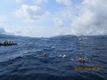 Elba luglio 2014 014