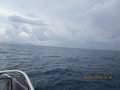 Elba luglio 2014 051