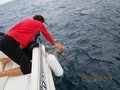 Elba luglio 2014 055