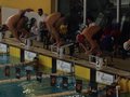 1604863_10203119714657976_1134145201_n