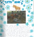pag15