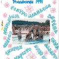 pag48