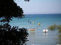baratti 17