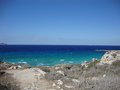 DSC00336
